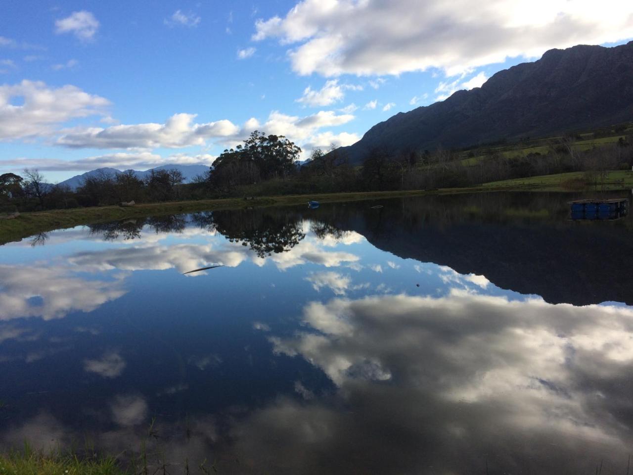 Fraaigelegen Farm - Home Of Adhara Evoo Tulbagh Extérieur photo