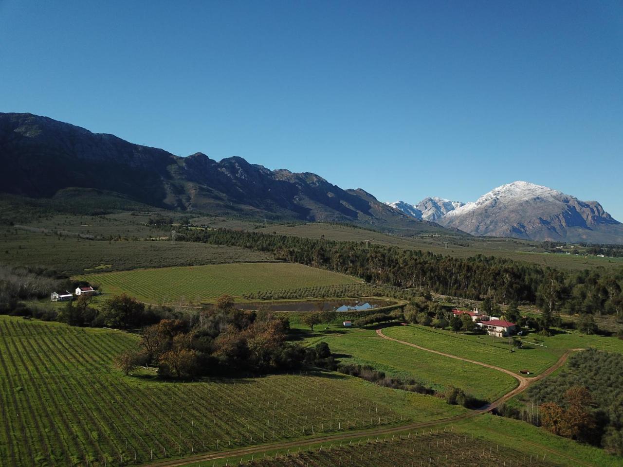 Fraaigelegen Farm - Home Of Adhara Evoo Tulbagh Extérieur photo