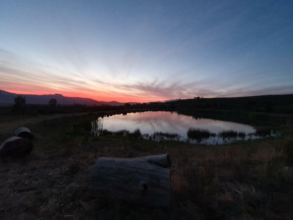 Fraaigelegen Farm - Home Of Adhara Evoo Tulbagh Extérieur photo